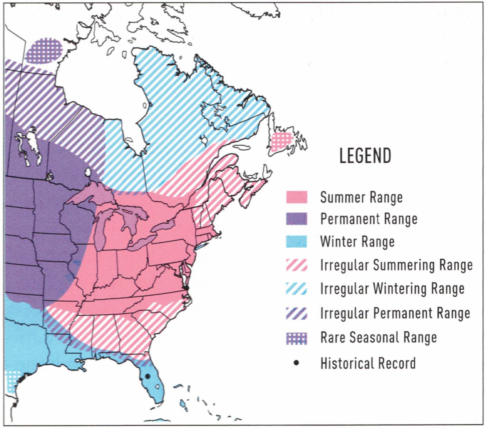 All Owls In Louisiana With Sounds Pictures