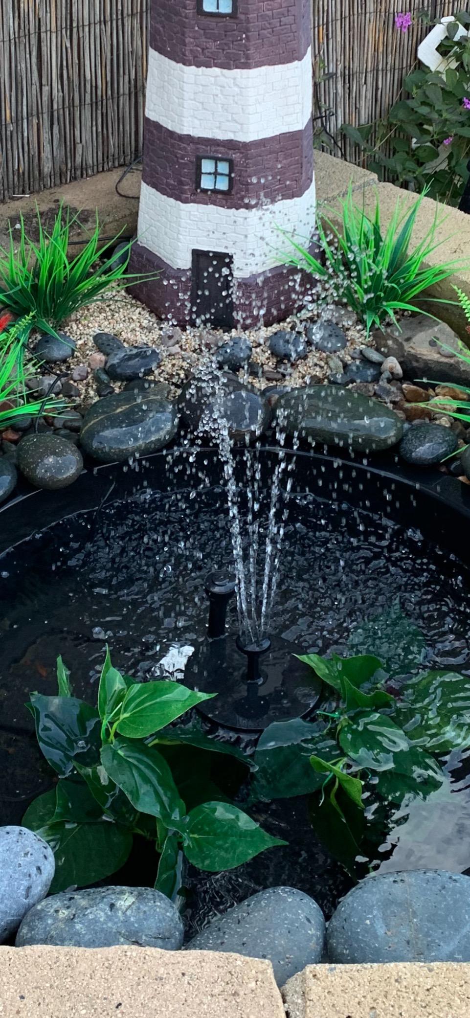 Top 3 Best Solar Bird Bath Pumps [Buyer's Guide]