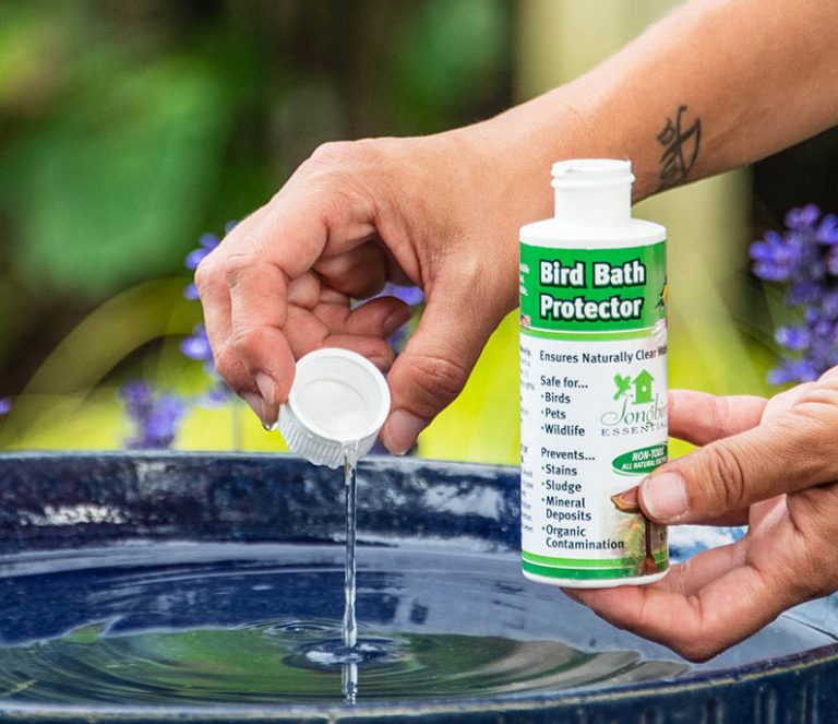 The Best Bird Bath Enzyme Cleaner that Actually Works