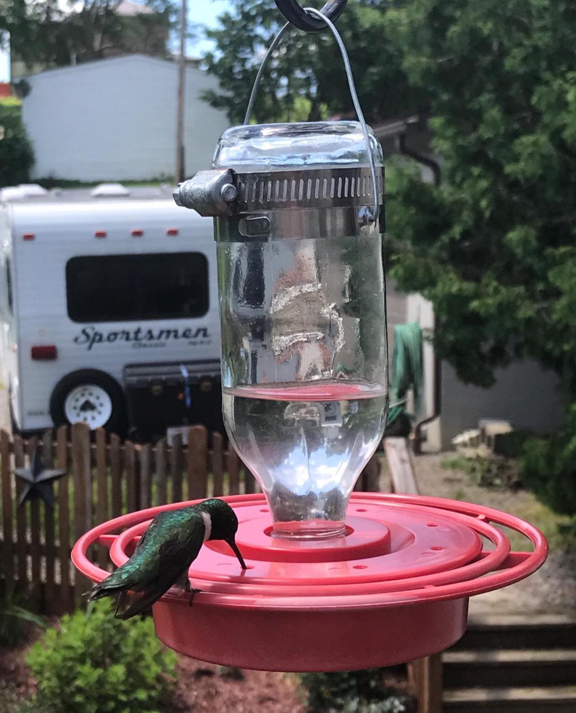 best hummingbird feeder to keep bees away