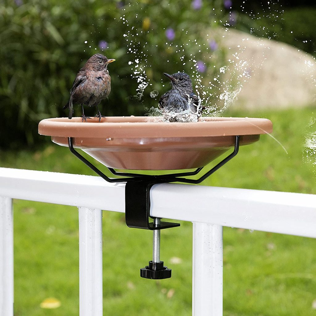 best small bird bath