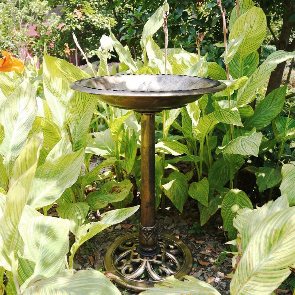 best solar powered bird bath