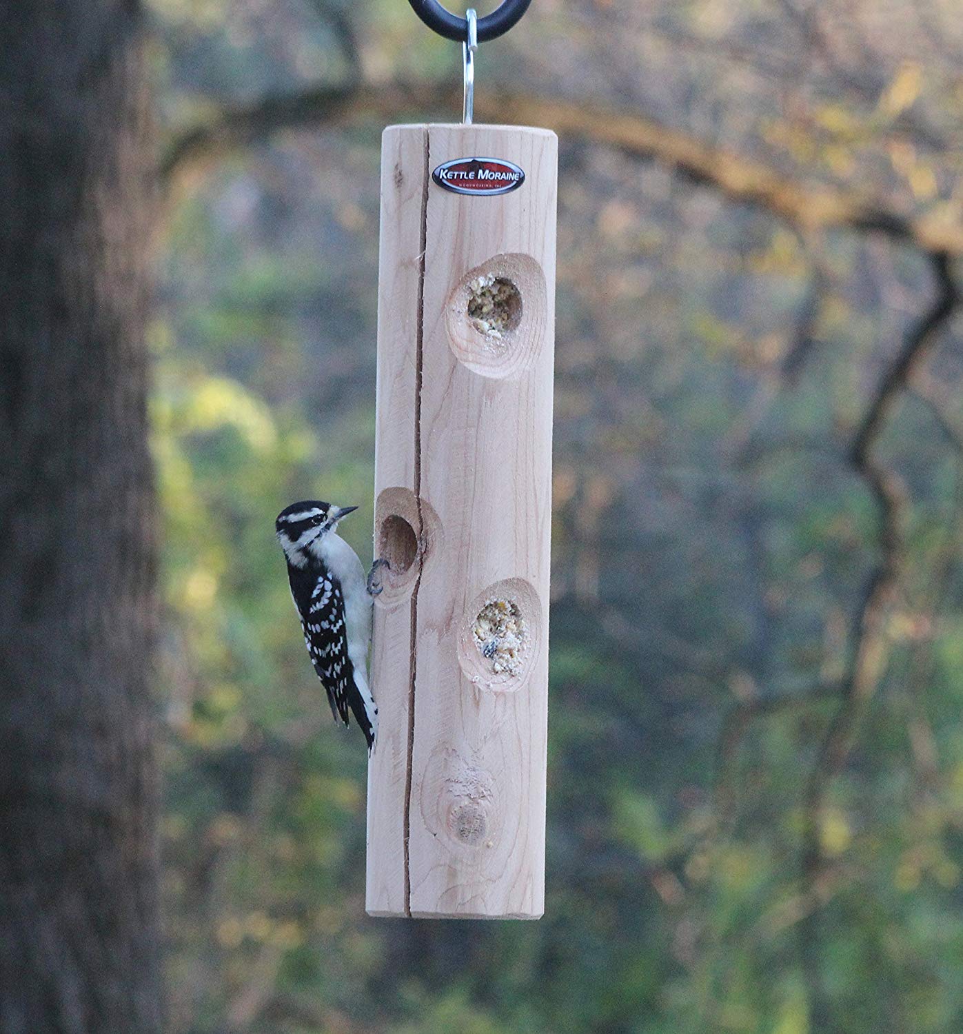 The Top 6 Woodpecker Feeders You Should Consider Buying