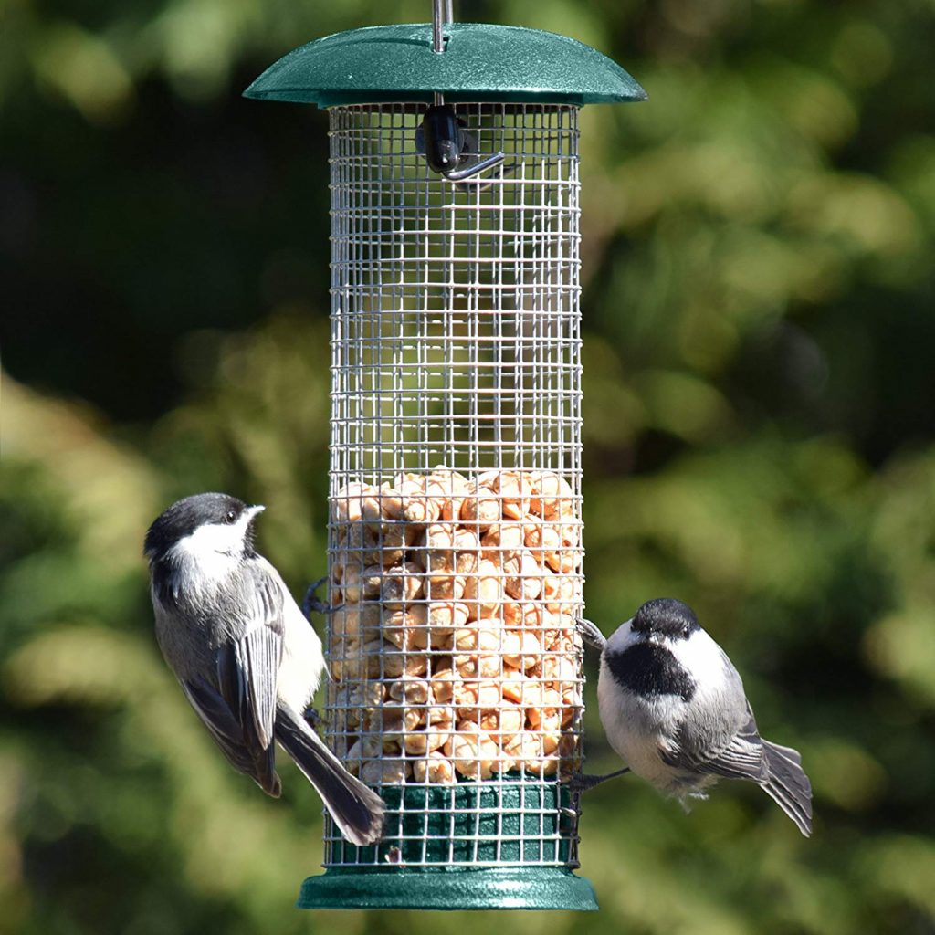 best sunflower seed woodpecker feeder