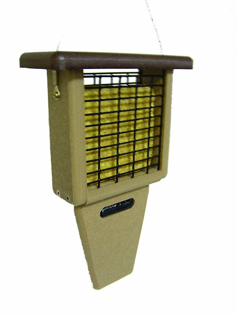 Best Woodpecker Feeder With Tail Prop