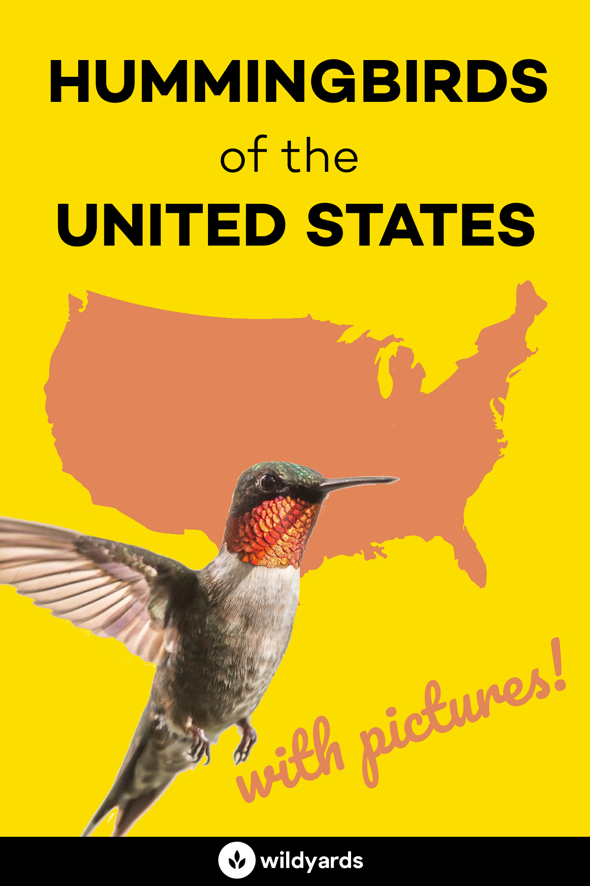 Hummingbirds of the United States
