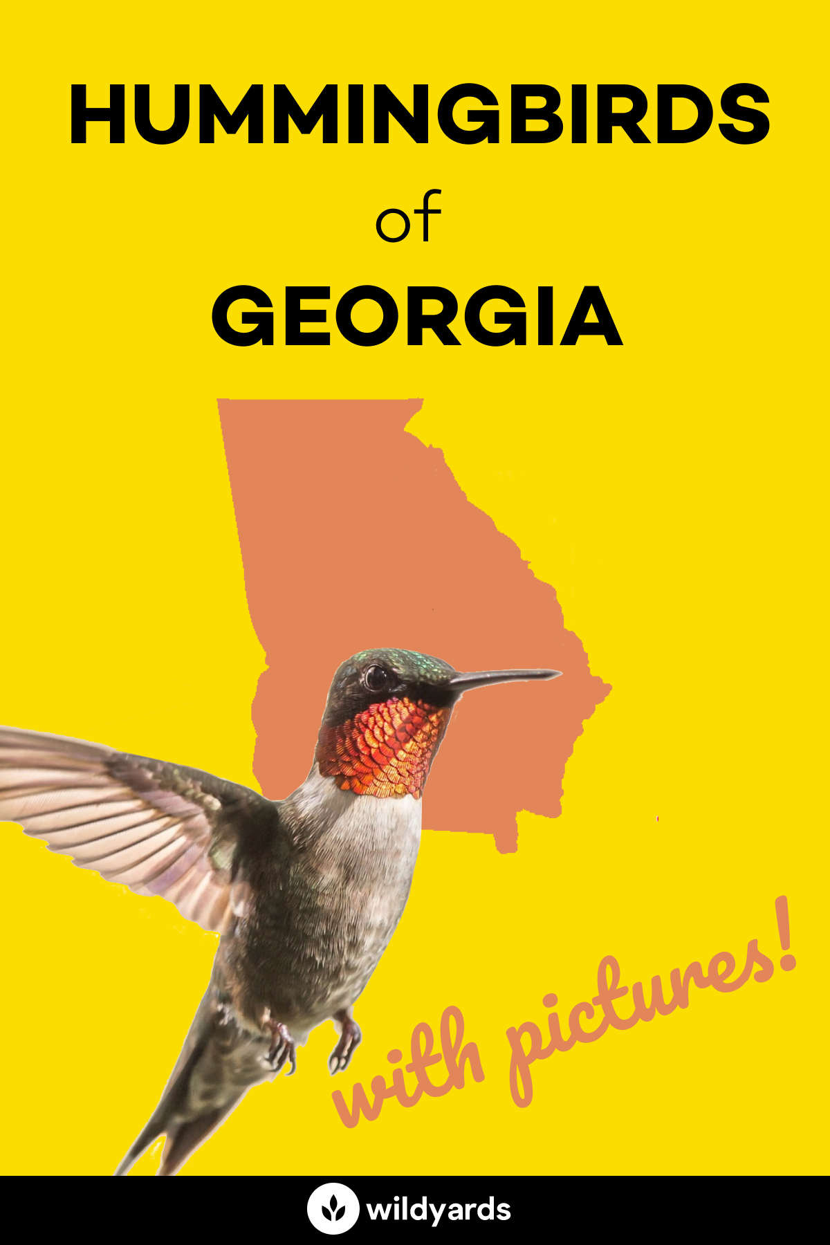 All 9 Hummingbirds in [With Pictures & Maps]