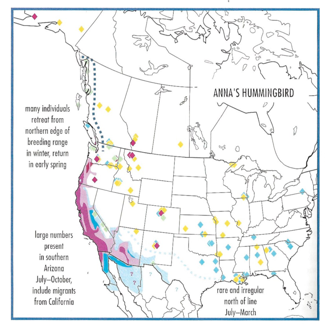 anna's hummingbird migration and range map