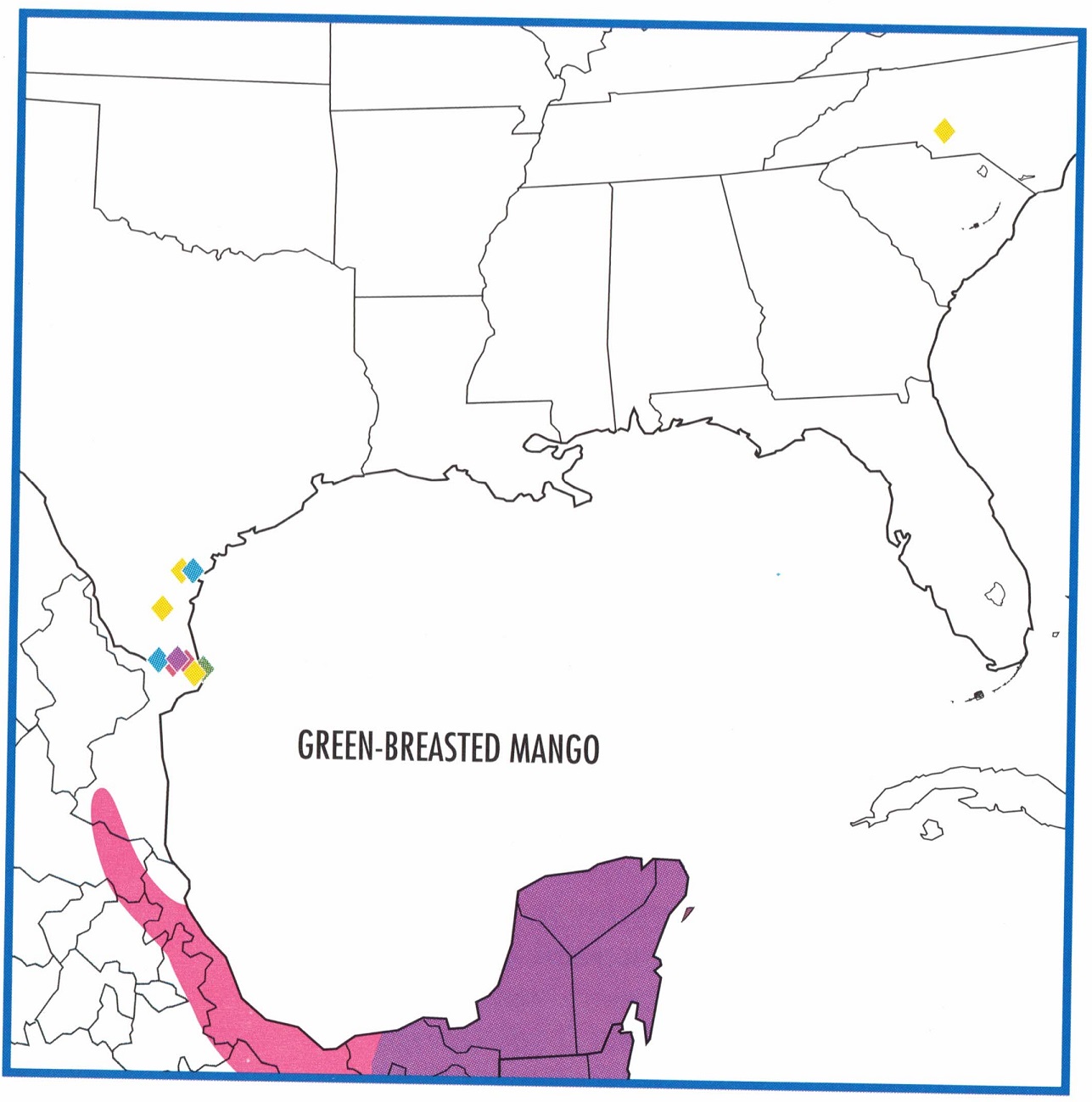 green-breasted-mango-hummingbird-migration-map