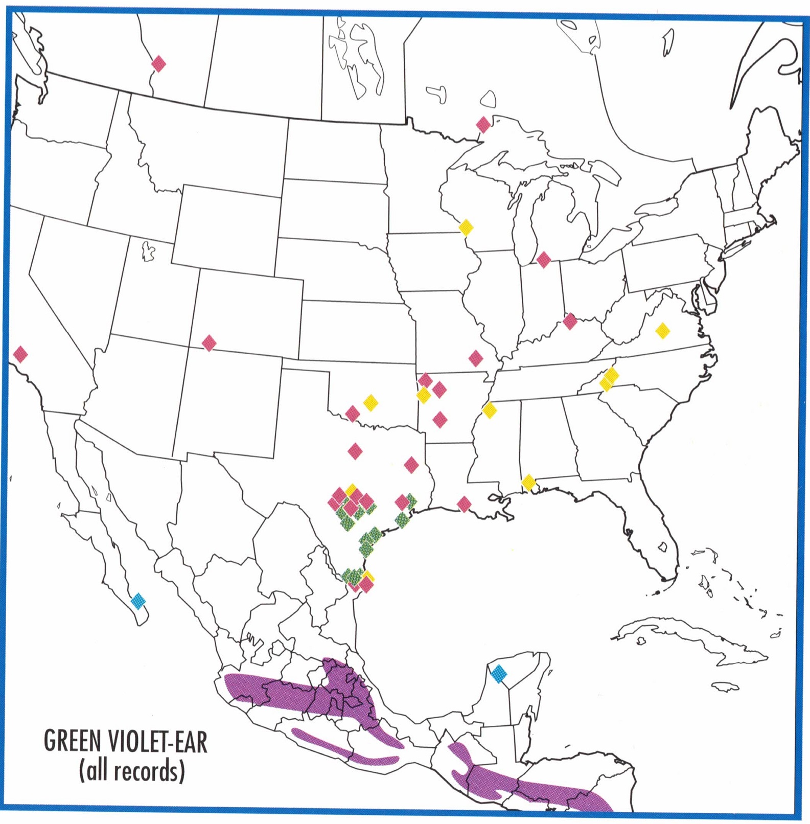 green-violet-ear-hummingbird-migration-map