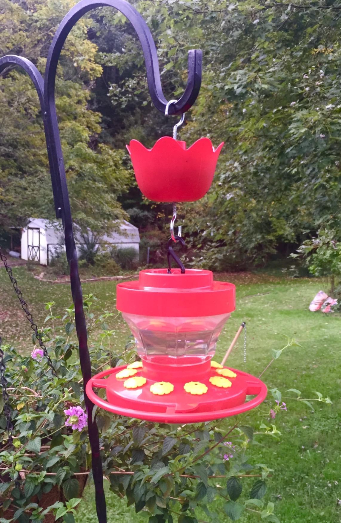 best hummingbird feeder with bee guard
