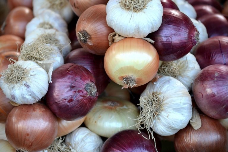 What Not to Feed Chickens A Complete List