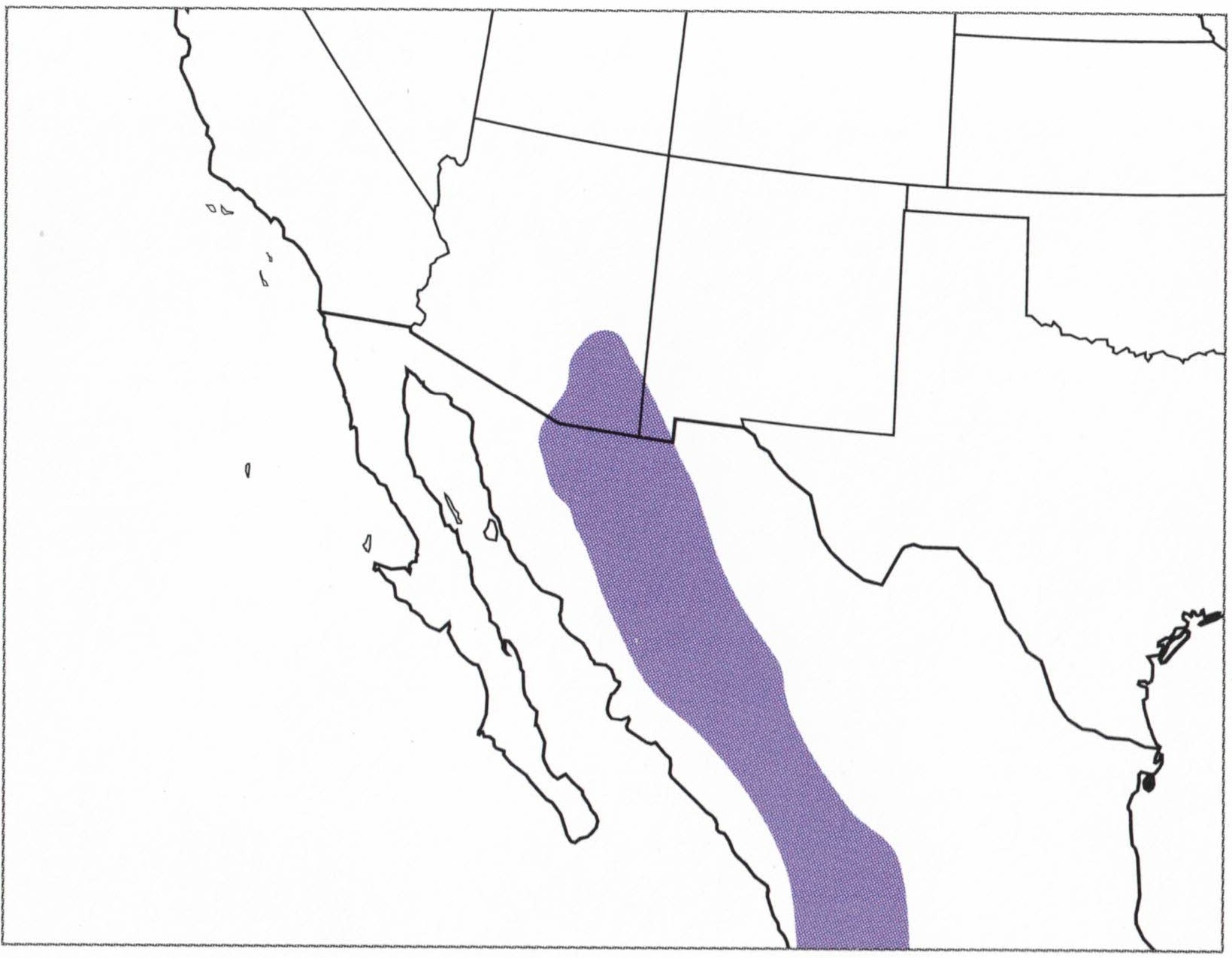arizona-woodpecker-range-map
