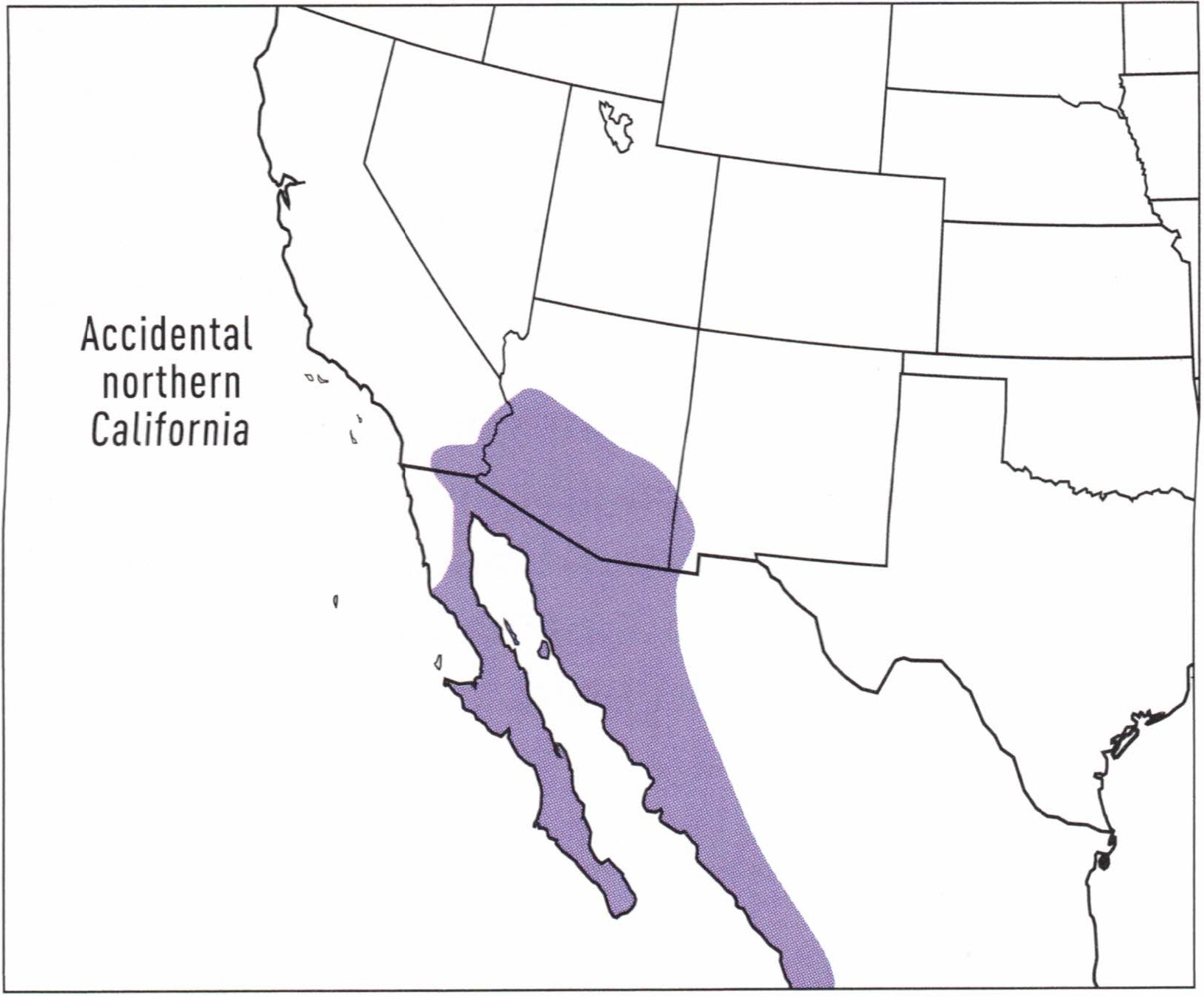 gila-woodpecker-range-map