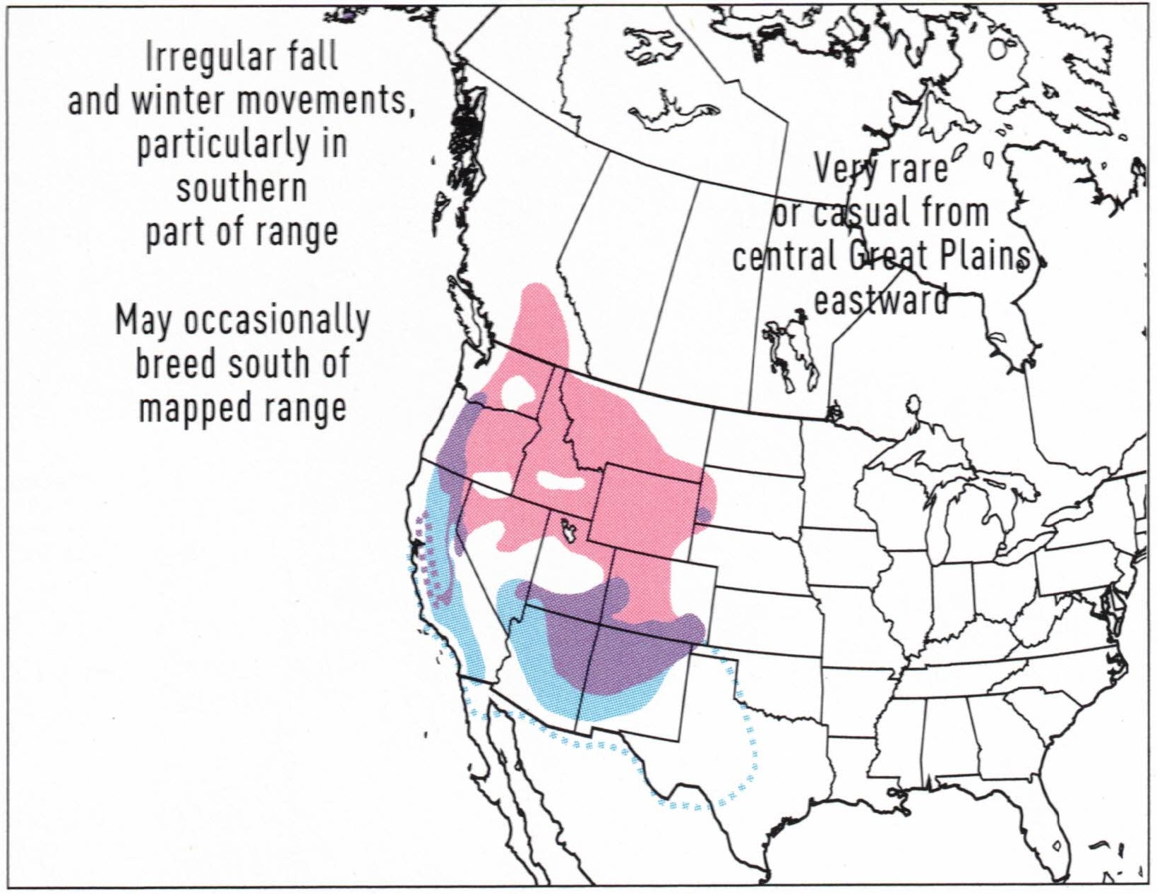 lewis's-woodpecker-range-map