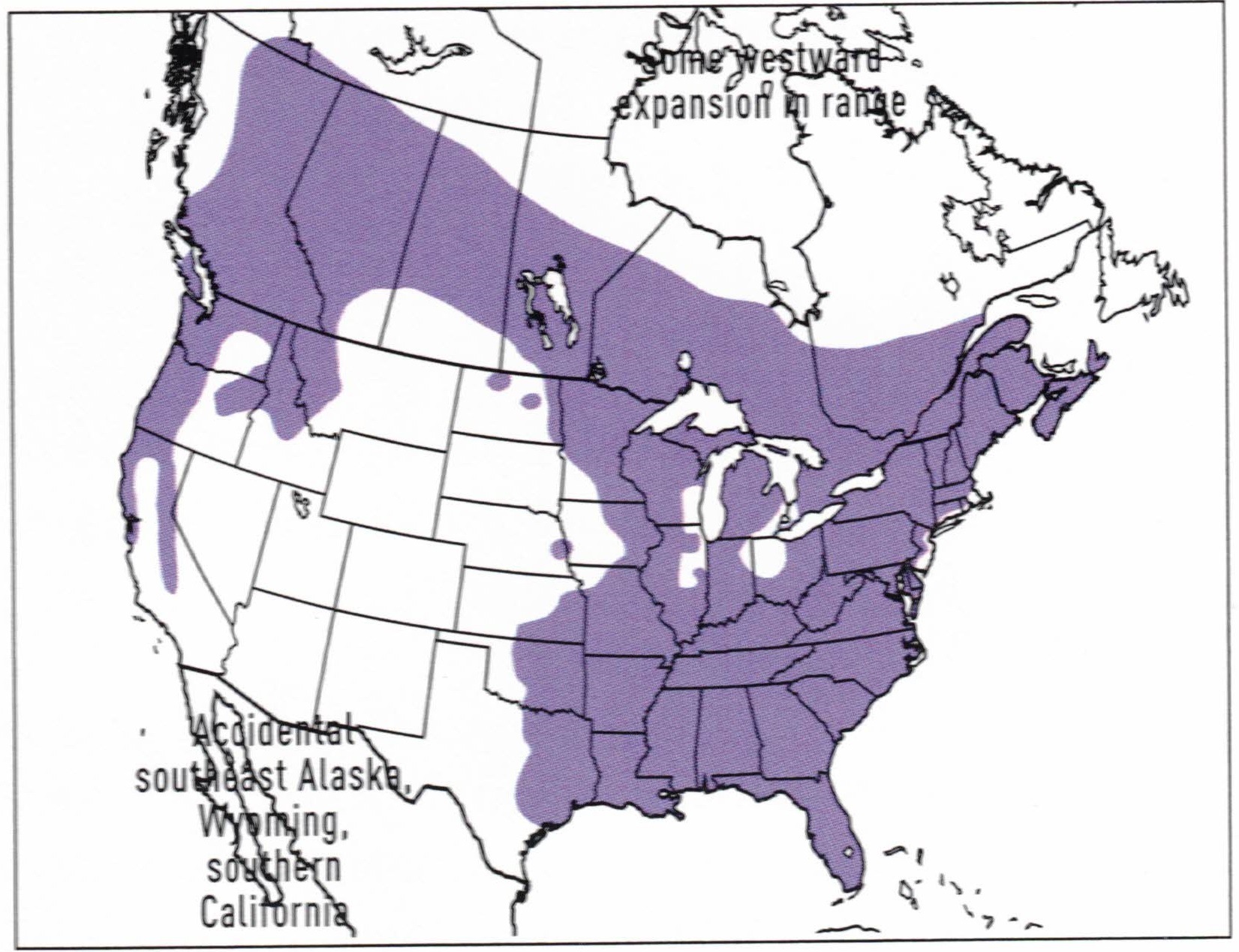 pileated-woodpecker-range-map