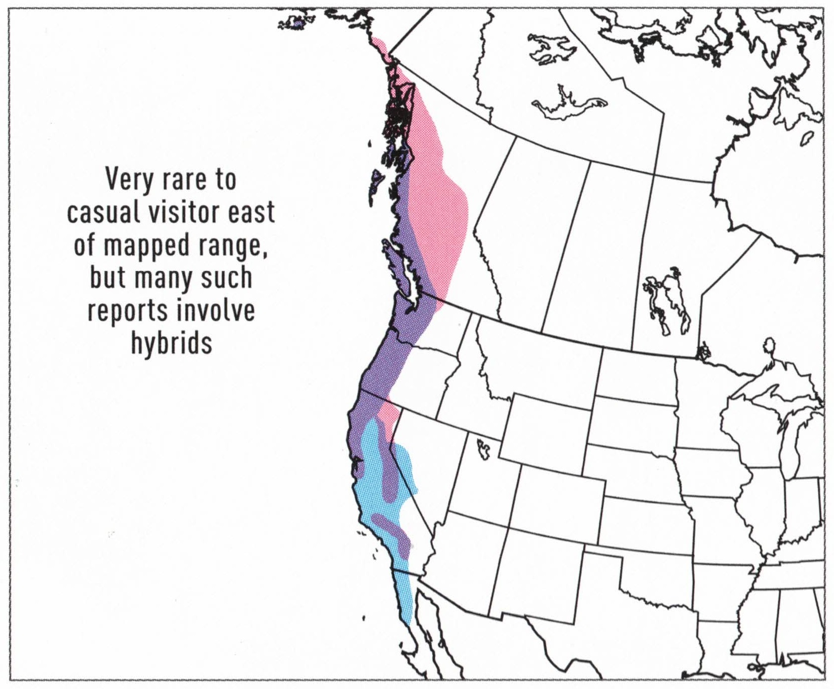 red-breasted-sapsucker-range-map