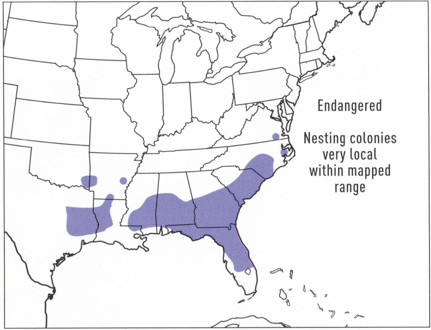 red-cockaded-woodpecker-range-map