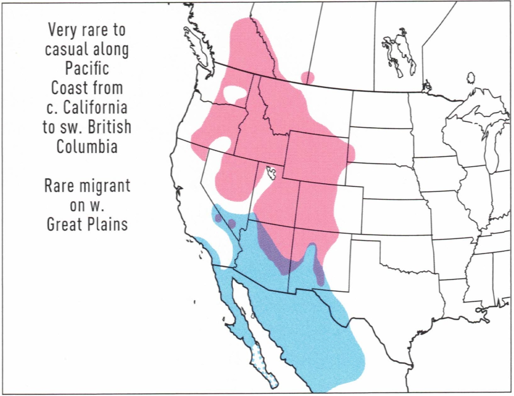 red-naped-sapsucker-range-map