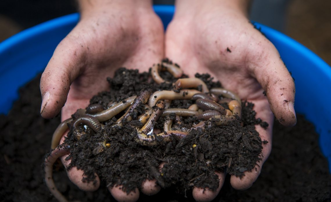 Composting In A Bucket 1140x694 