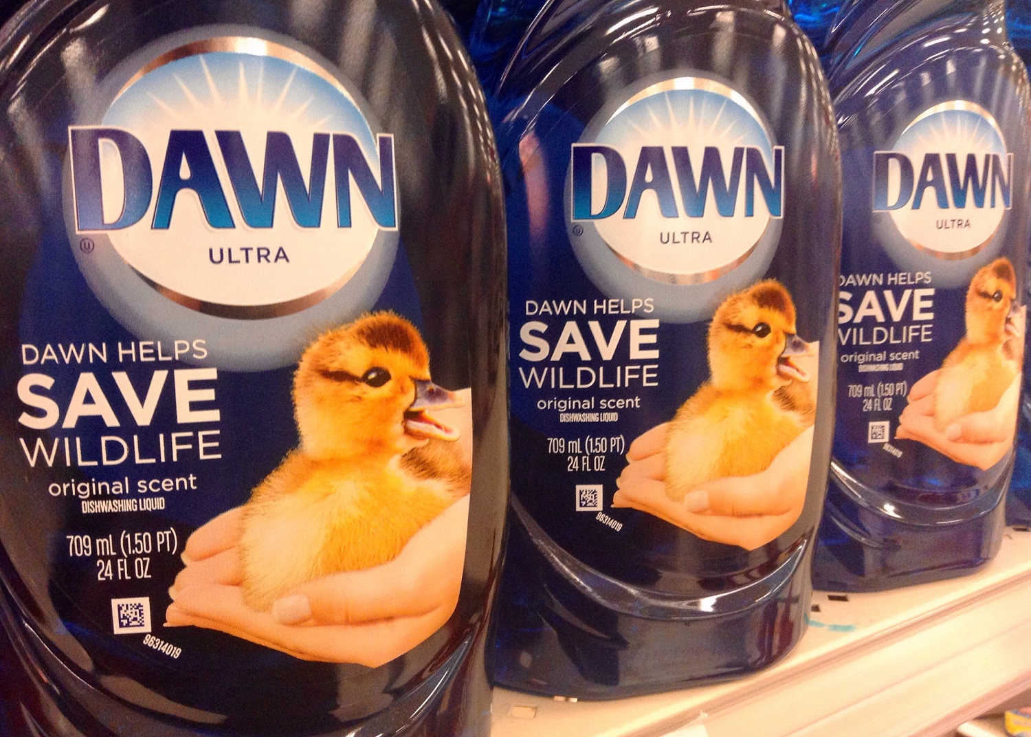 dawn-dish-soap-deer-repellent-should-you-use-it