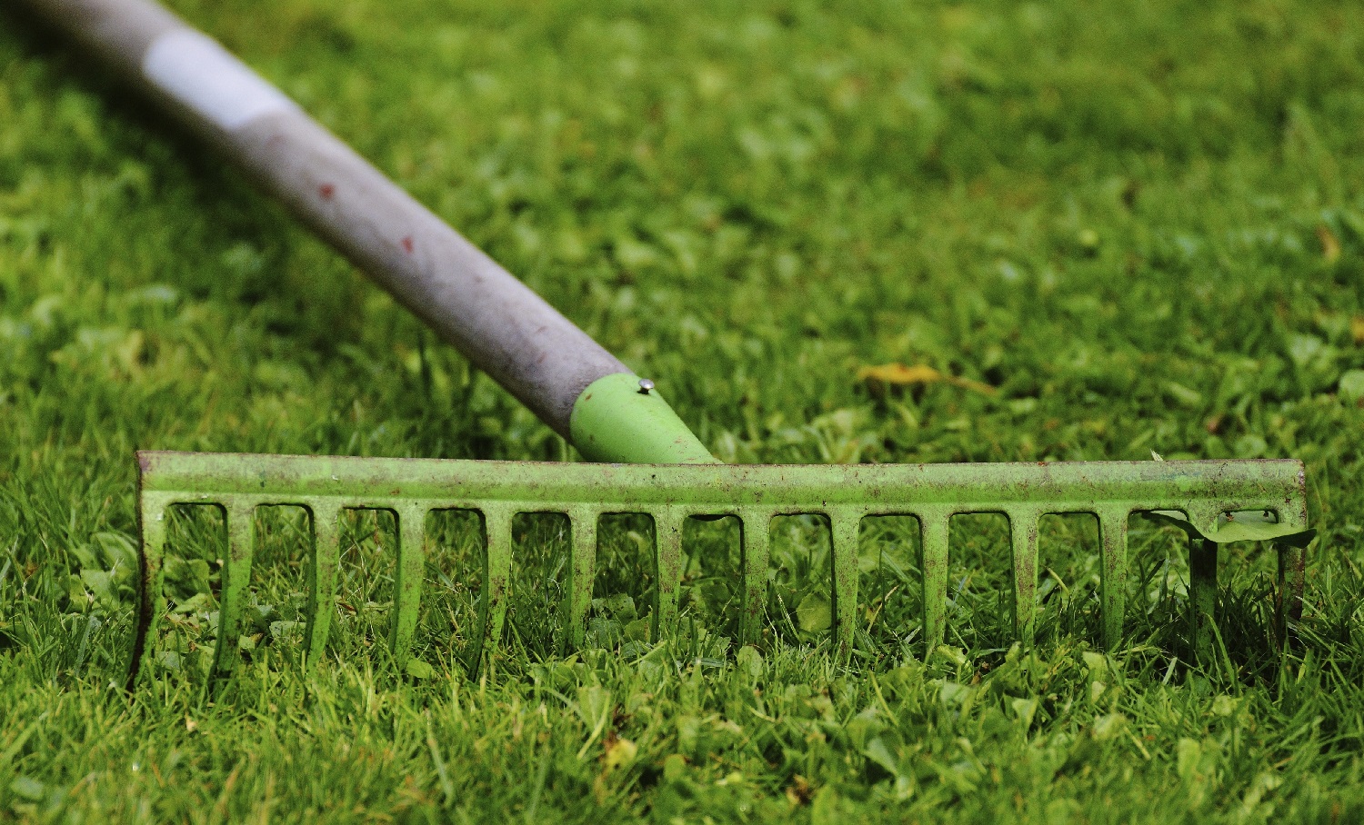 Pros And Cons Of Dethatching Lawn