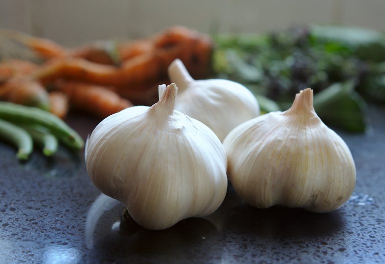 9 Homemade Insecticide Recipes To Protect Your Plants