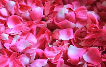 What To Do With Rose Petals - 10 Ways to Use Your Leftover Flowers