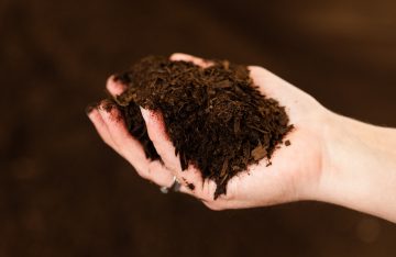 Manure Vs. Compost: What’s The Difference and Which is Better?