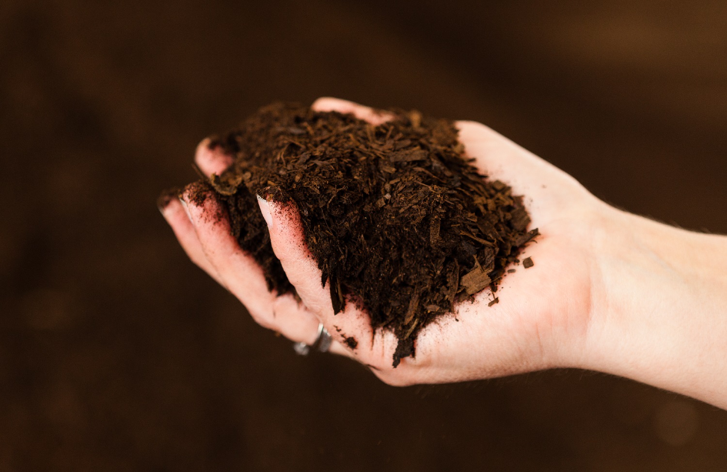 Manure Vs. Compost What’s The Difference and Which is Better?