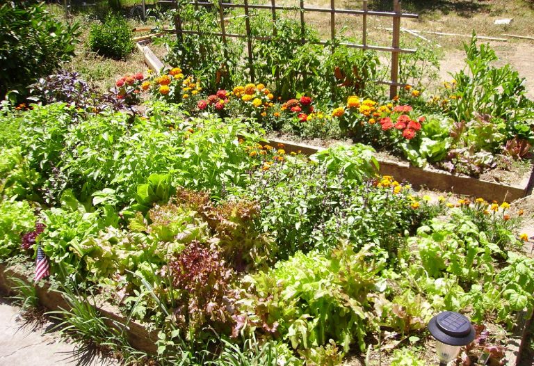 How To Fill a Raised Garden Bed with Soil Layers