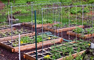 How To Fill a Raised Garden Bed with Soil Layers