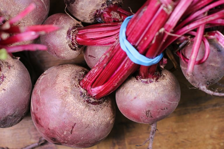 9 Best Winter Vegetables To Grow In Pots
