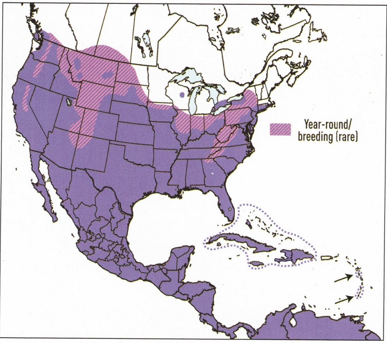 barn-owl-map