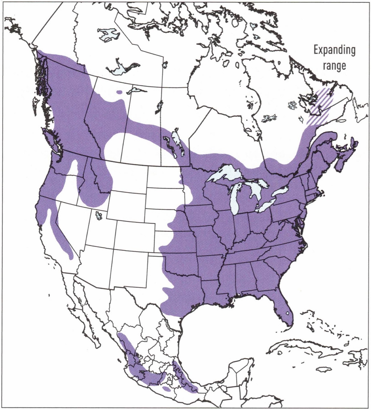 barred-owl-map