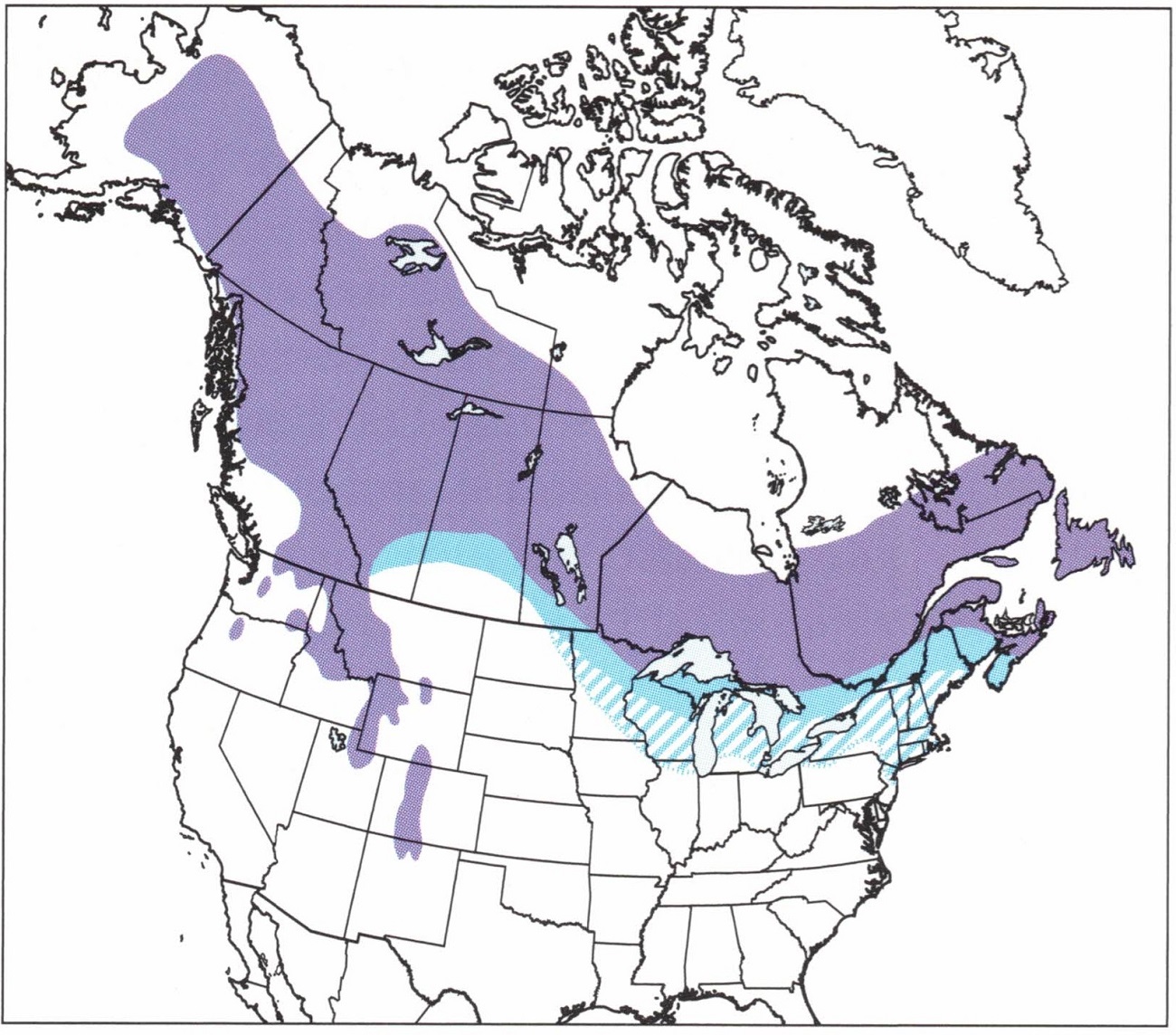 boreal-owl-map