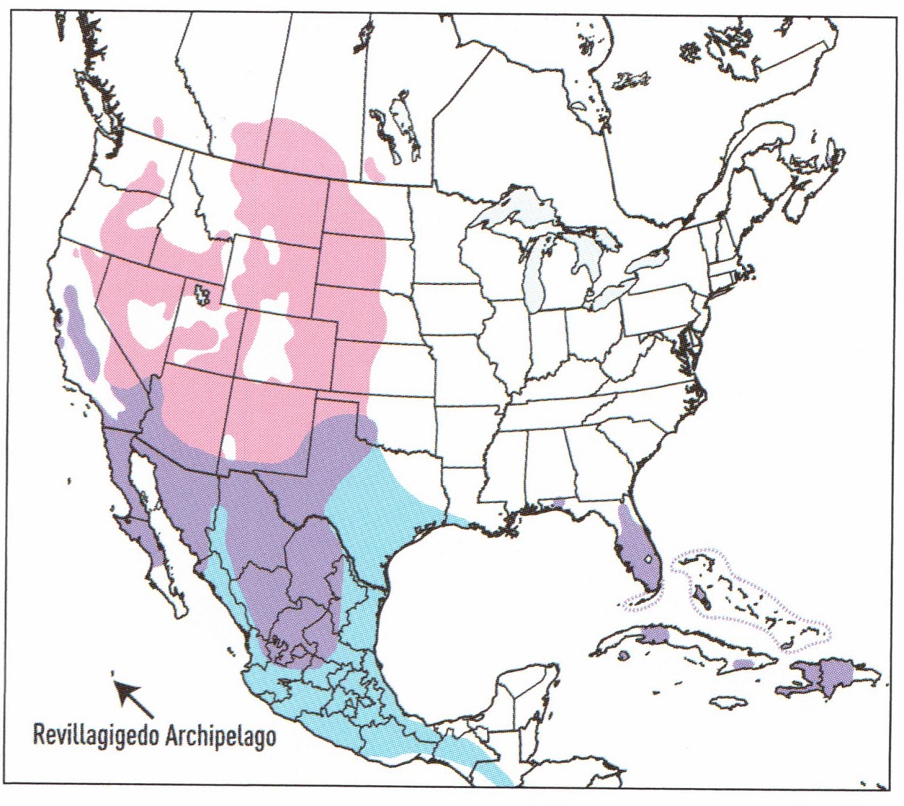 burrowing-owl-map