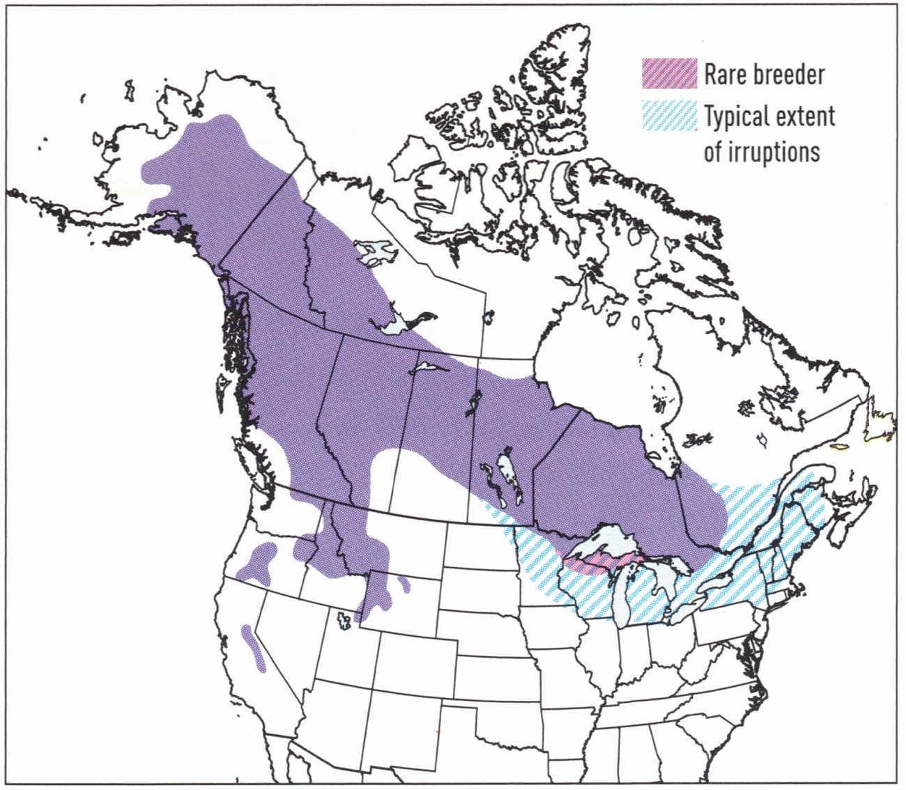 great-gray-owl-map