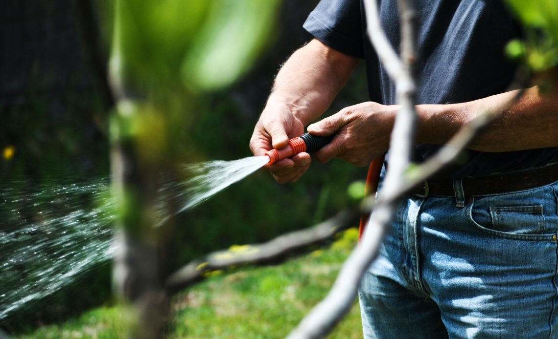 how-long-to-water-plants-with-hose