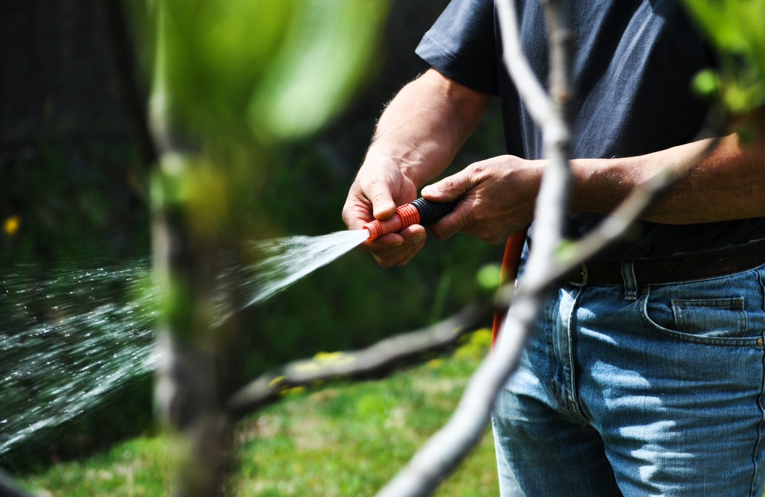 How Long To Water Plants With A Hose 