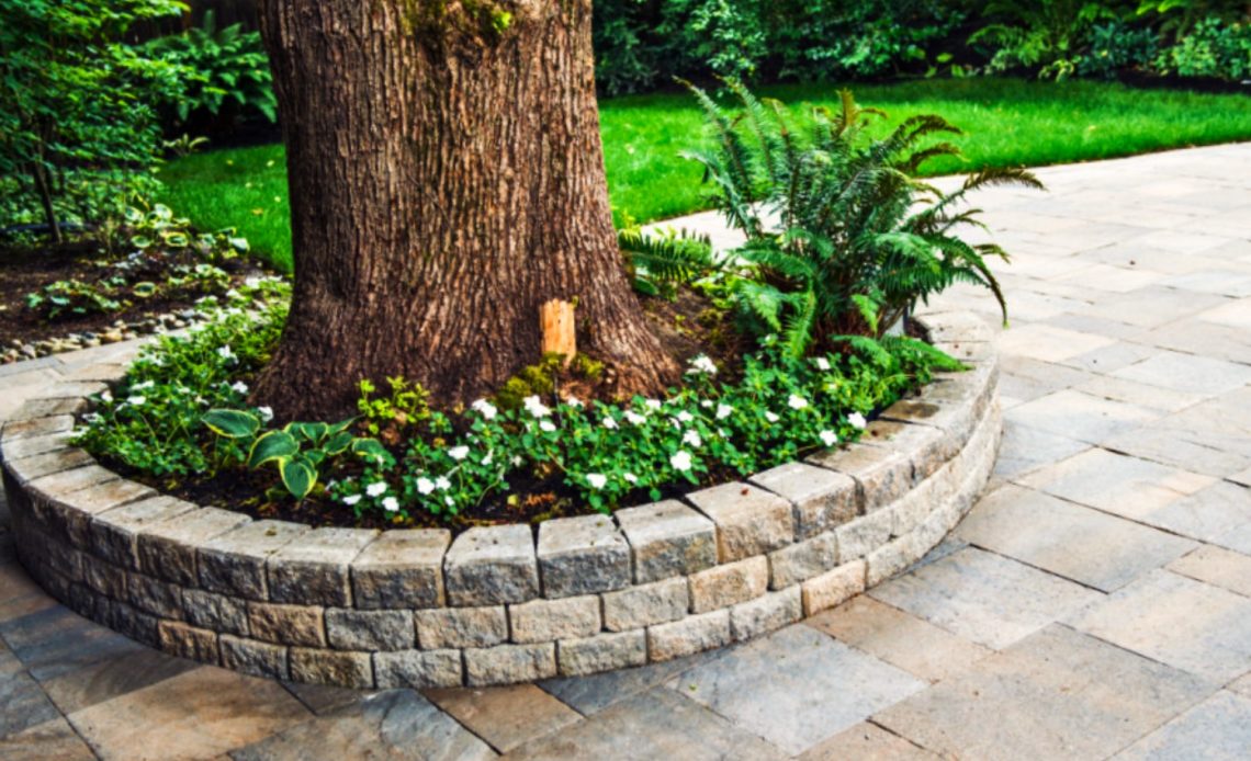 landscaping-around-trees-with-rocks