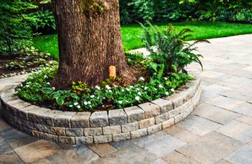 12 Tips For Landscaping Around Trees With Rocks