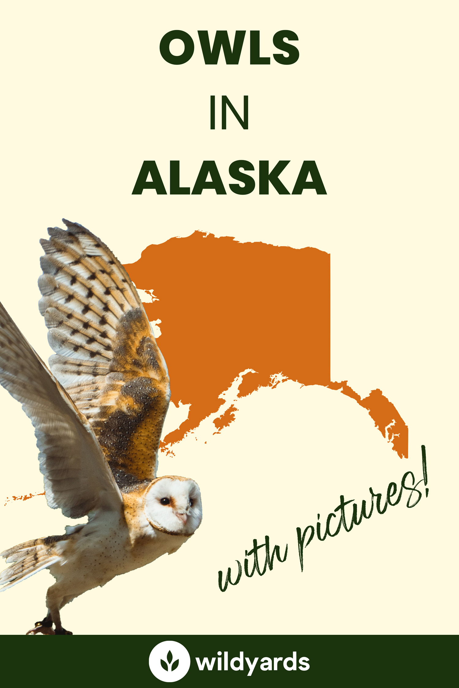 All 10 Owls in Alaska [With Sounds & Pictures]