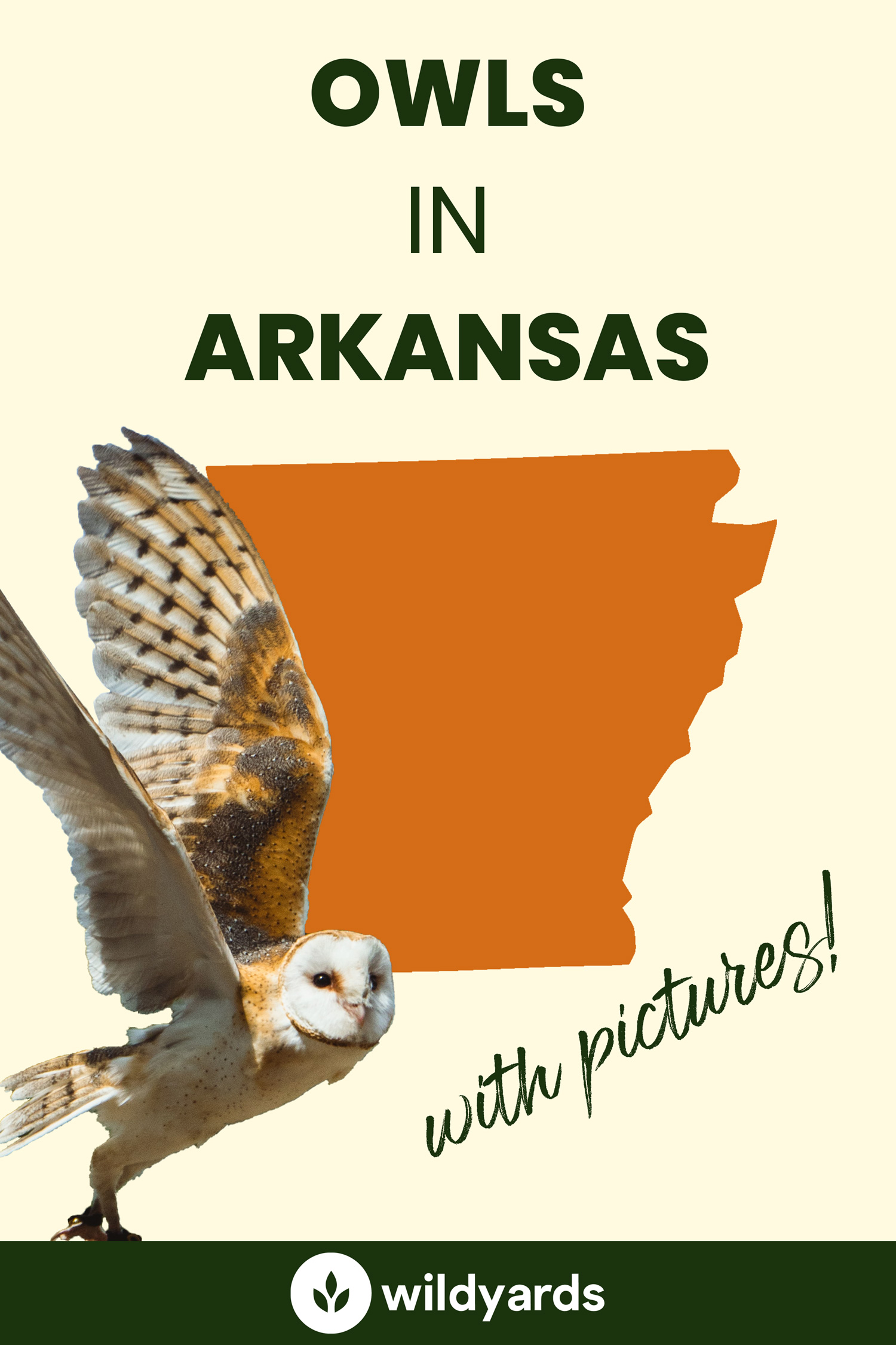 All 7 Owls in Arkansas [With Sounds & Pictures]