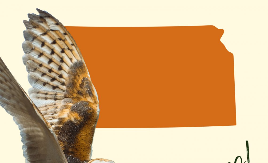 All 9 Owls in Kansas [With Sounds & Pictures]