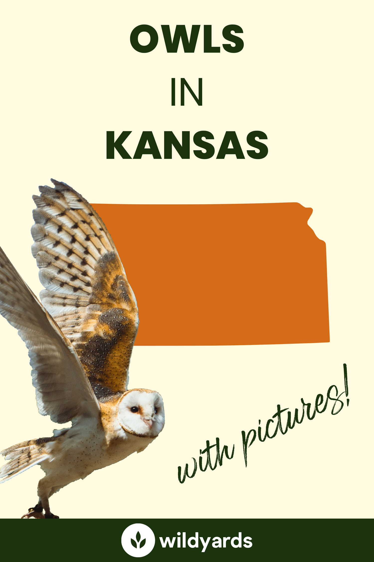 All 9 Owls in Kansas [With Sounds & Pictures]