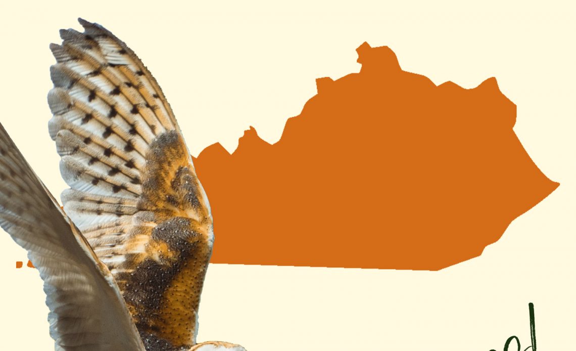 All 8 Owls in Kentucky [With Sounds & Pictures]
