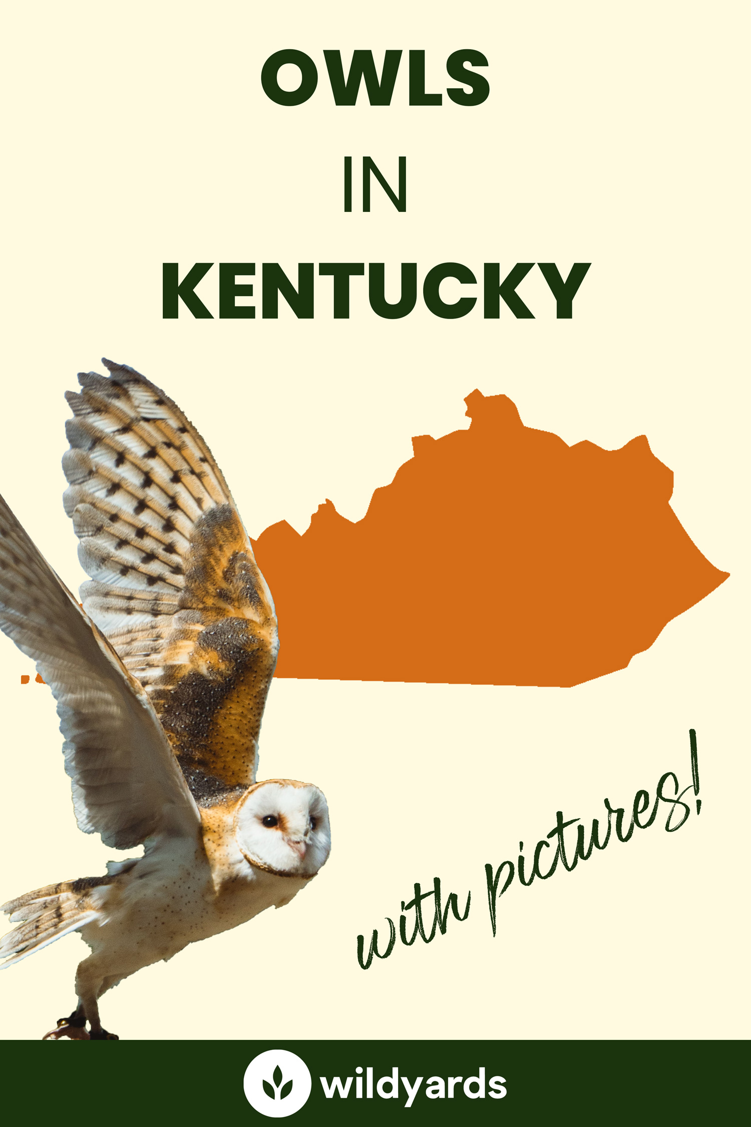 All 8 Owls in Kentucky [With Sounds & Pictures]