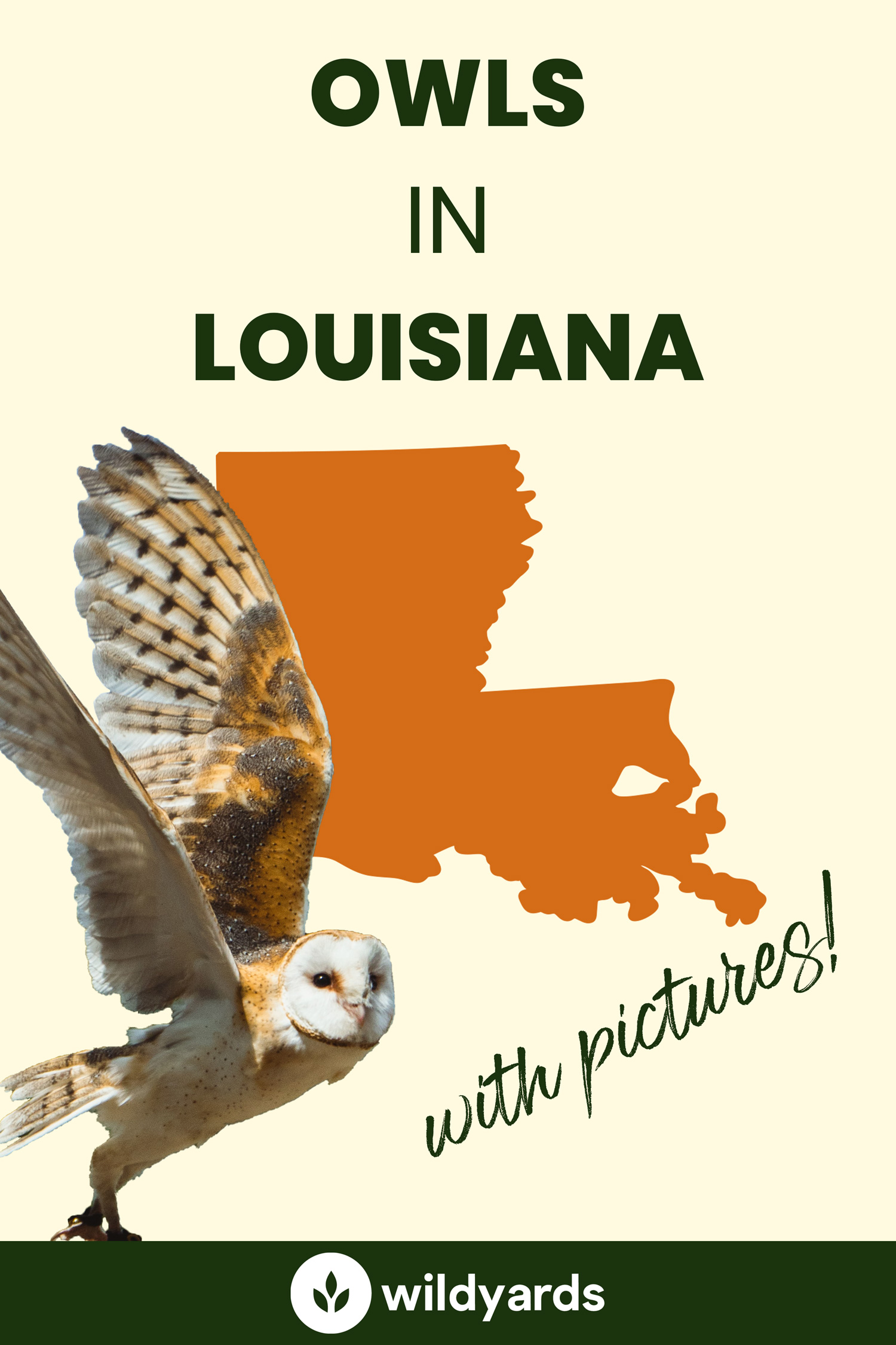 All 7 Owls in Louisiana [With Sounds & Pictures]