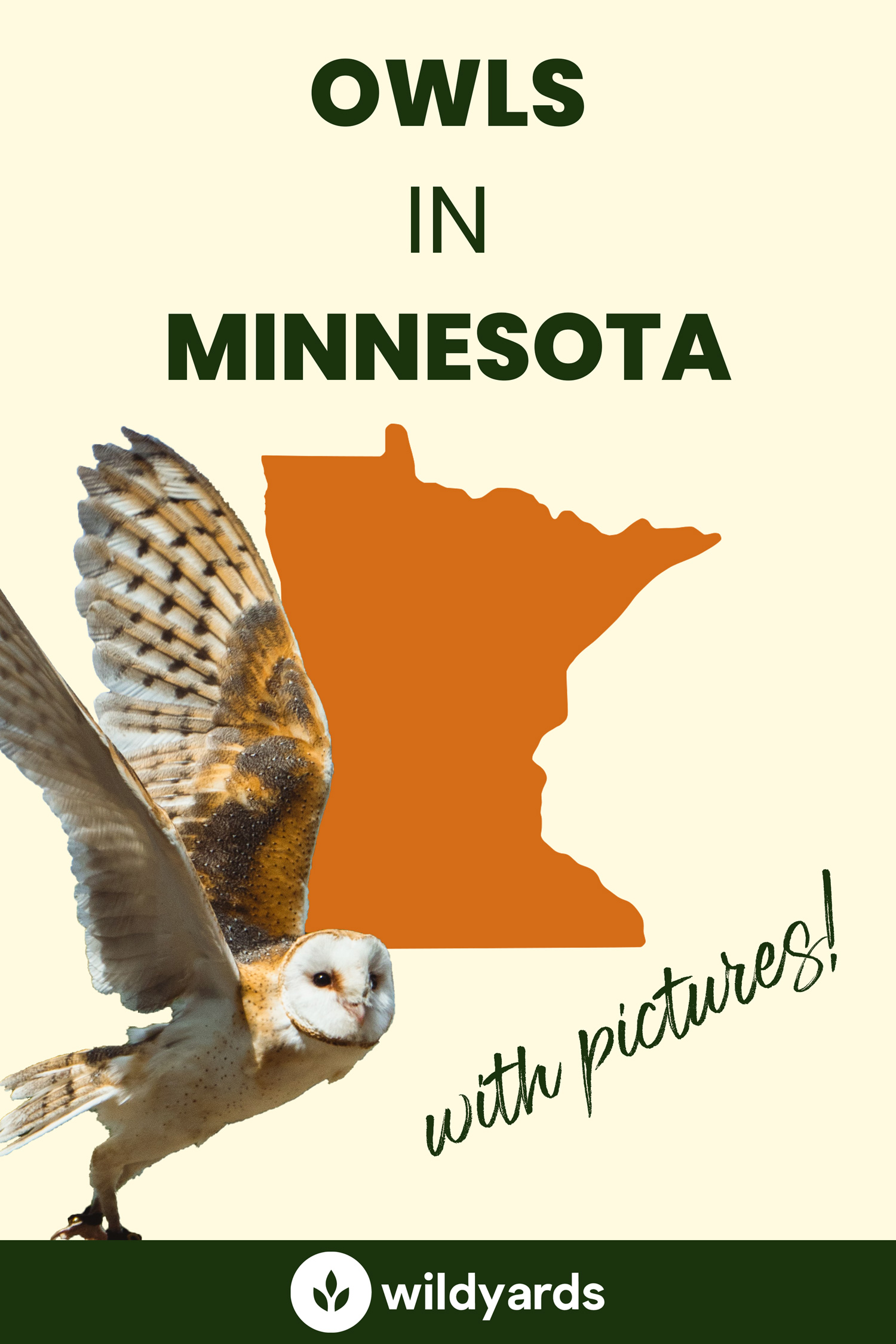 All 11 Owls in Minnesota [With Sounds & Pictures]